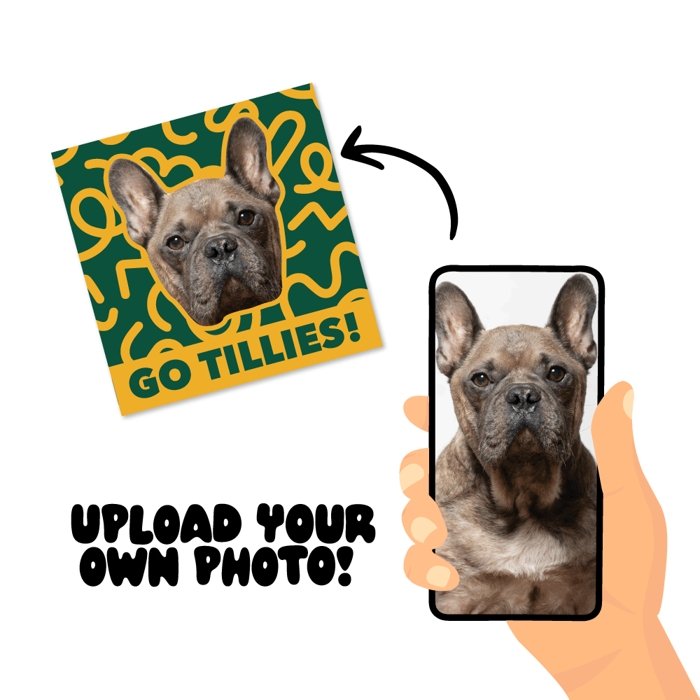 Matildas Green and Gold Dog Merch