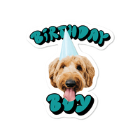 Birthday Boy Custom Pet Sticker