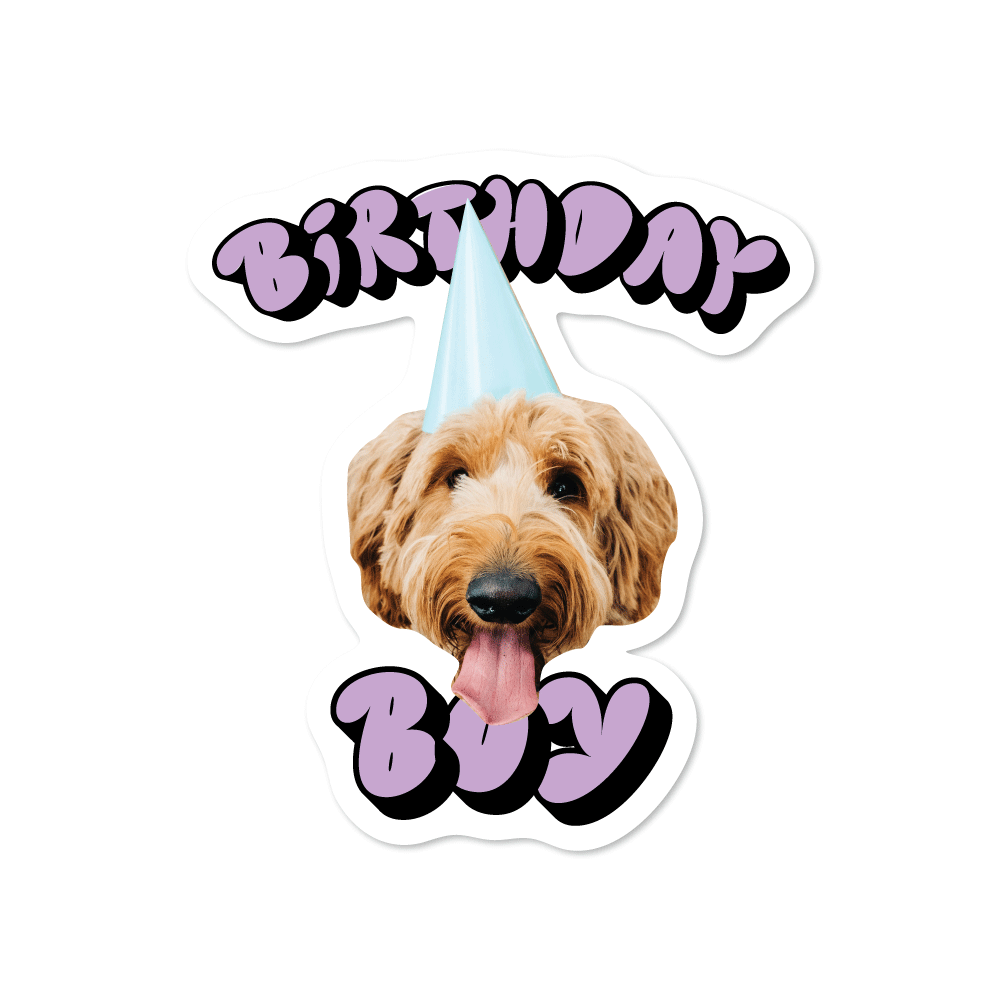 Birthday Boy Custom Pet Sticker