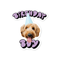 Birthday Boy Custom Pet Sticker