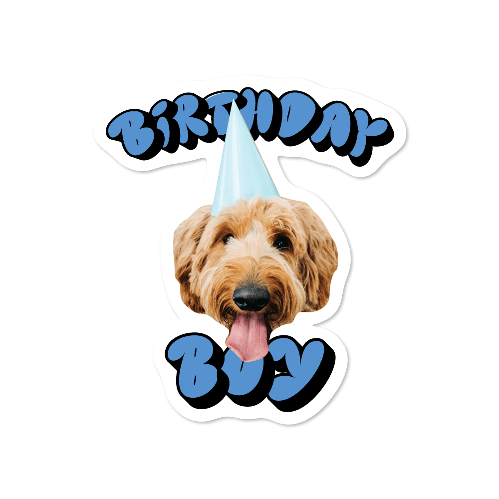 Birthday Boy Custom Pet Sticker