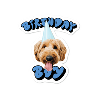 Birthday Boy Custom Pet Sticker