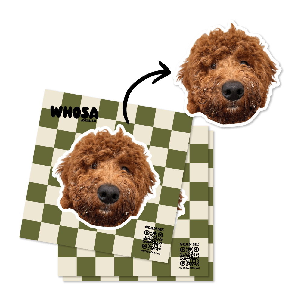 Vintage Checkered Custom Pet Sticker (Face Only)