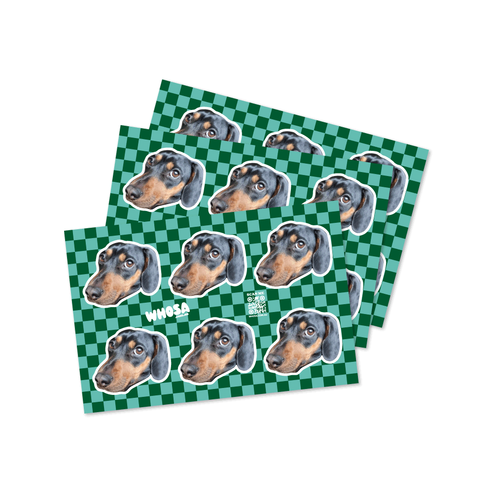 3 Pack - Custom Dog Checkered Sticker Sheets