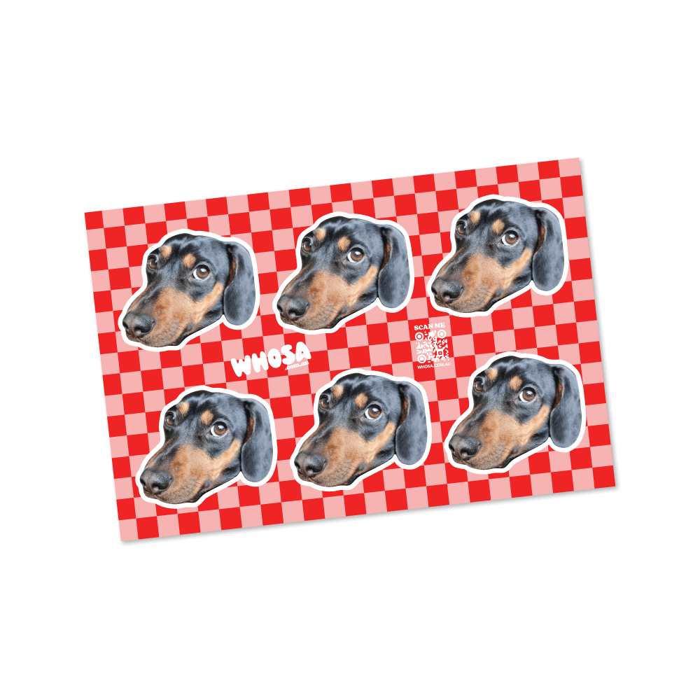 Custom Pet Sticker Sheet (x6 Stickers) - Small Checkered Collection