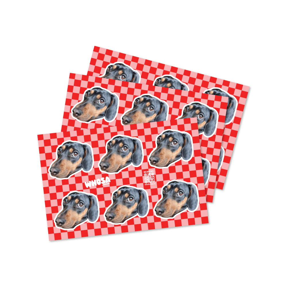 3 Pack - Custom Dog Checkered Sticker Sheets