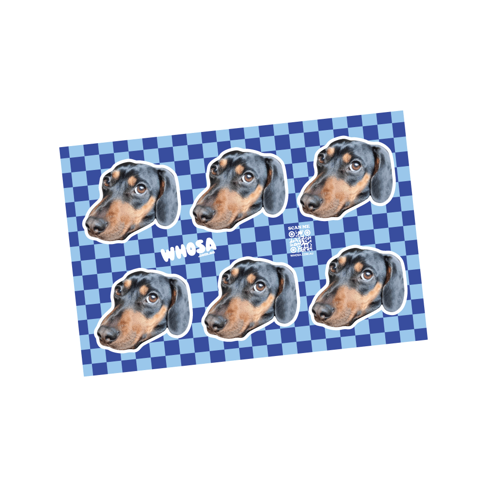 Custom Pet Sticker Sheet (x6 Stickers) - Small Checkered Collection