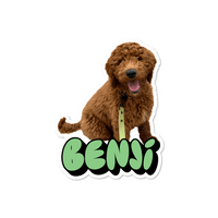 Personalised Pet Name Sticker