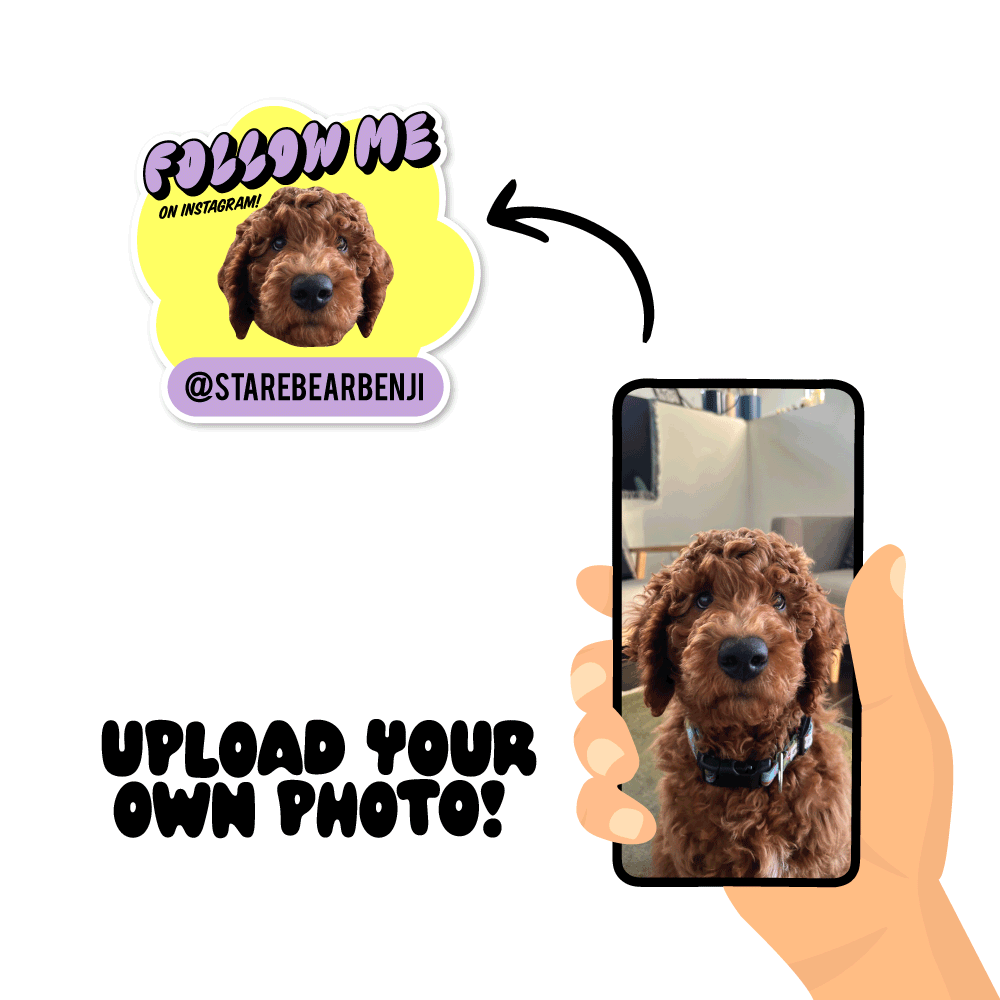 Personalised Follow Me Pet Instagram Name Sticker