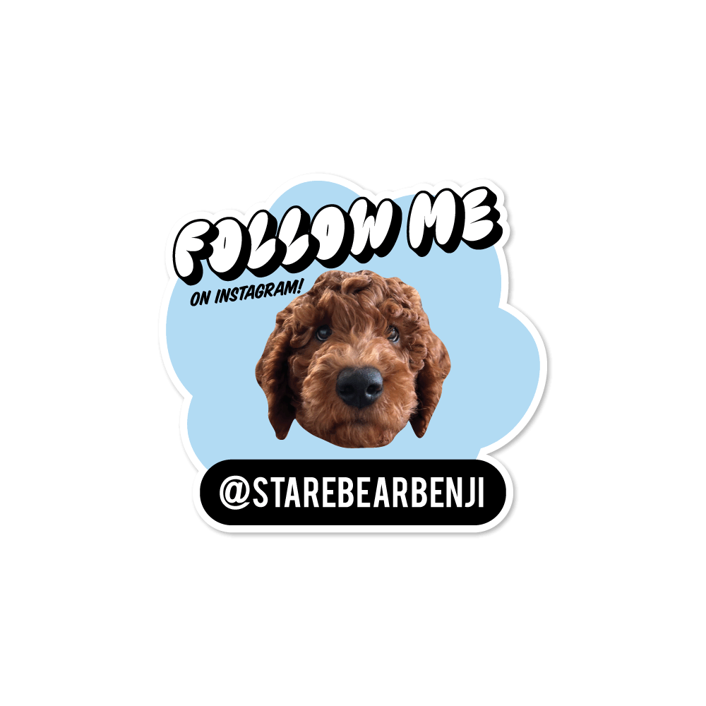 Personalised Follow Me Pet Instagram Name Sticker