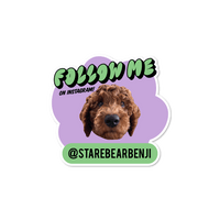 Personalised Follow Me Pet Instagram Name Sticker