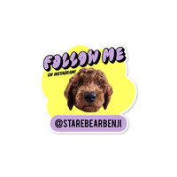 Personalised Follow Me Pet Instagram Name Sticker