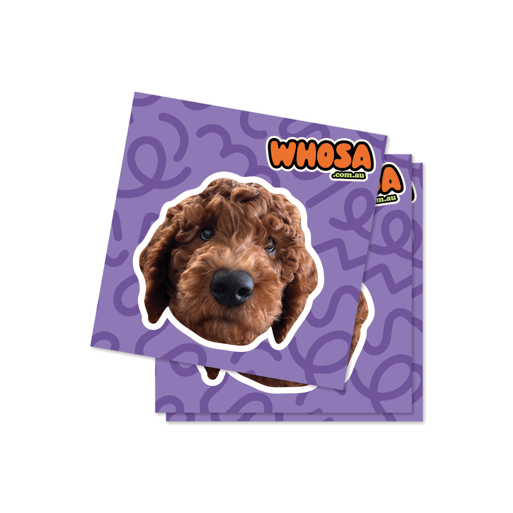 Custom Pet Sticker (Face Only) - Squiggle Collection