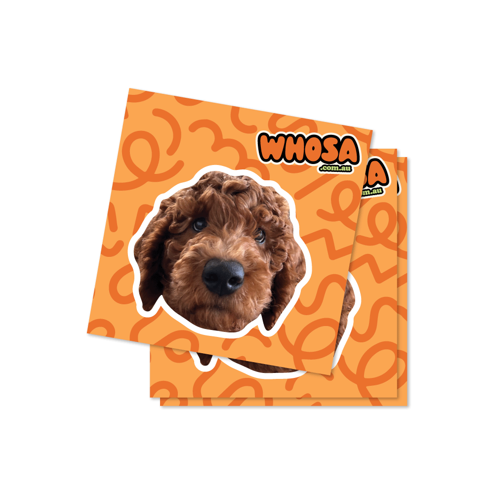 Custom Pet Sticker (Face Only) - Squiggle Collection