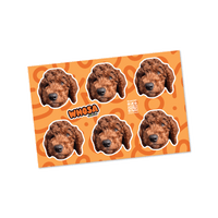 Custom Pet Sticker Sheet (x6 Stickers) - Squiggle Collection