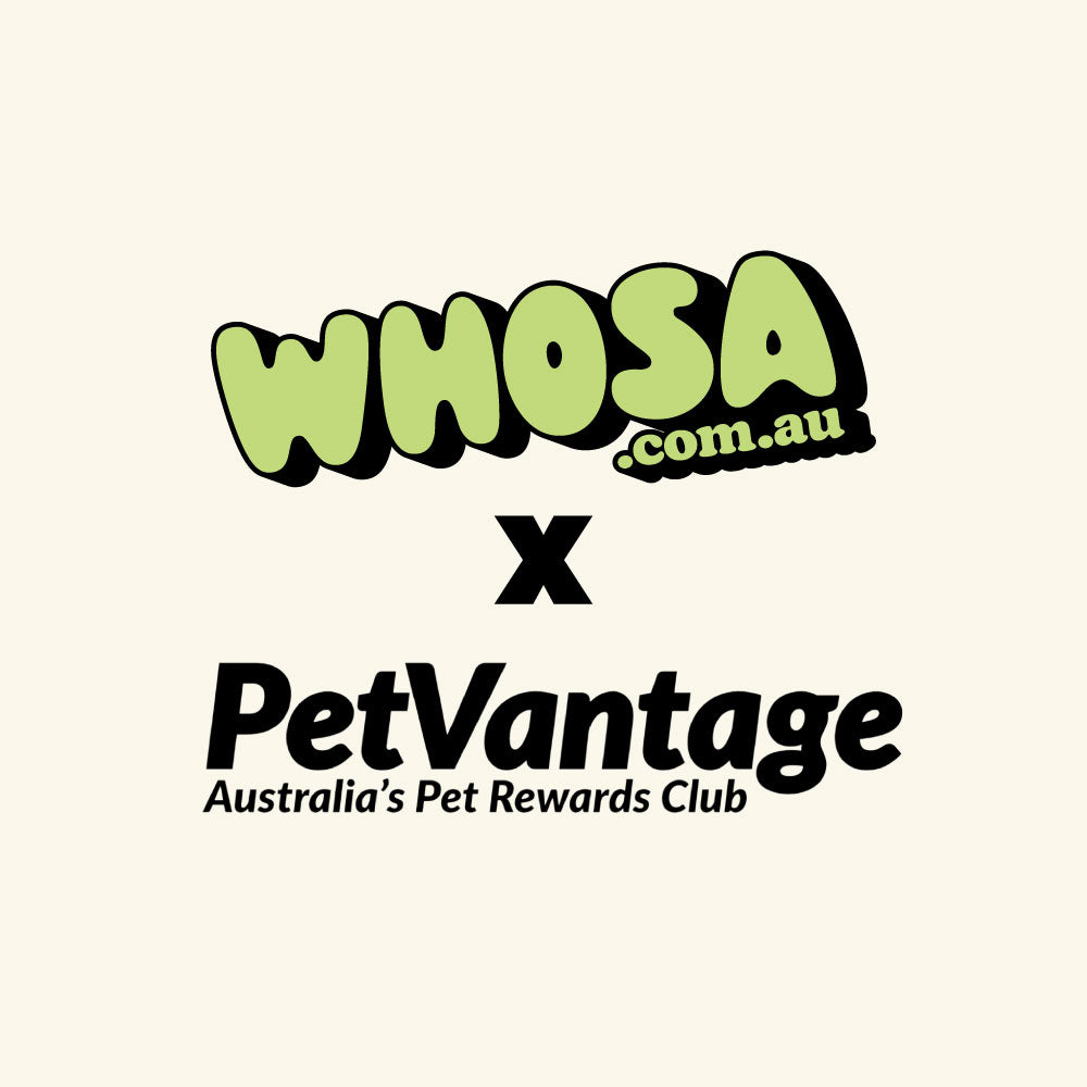 PetVantage Exclusive Offer!