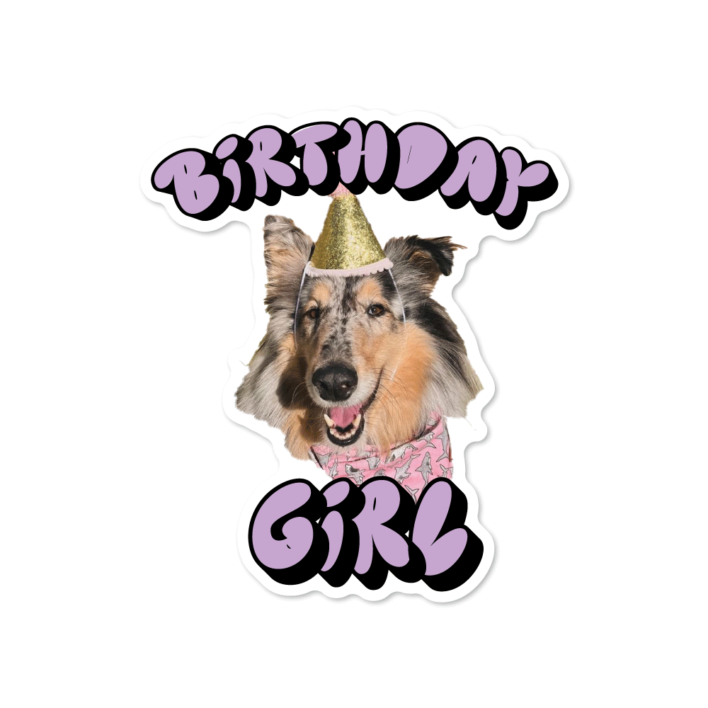 Birthday Girl Custom Pet Sticker