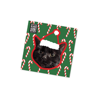 Candy Cane Custom Pet Sticker  - Christmas Collection