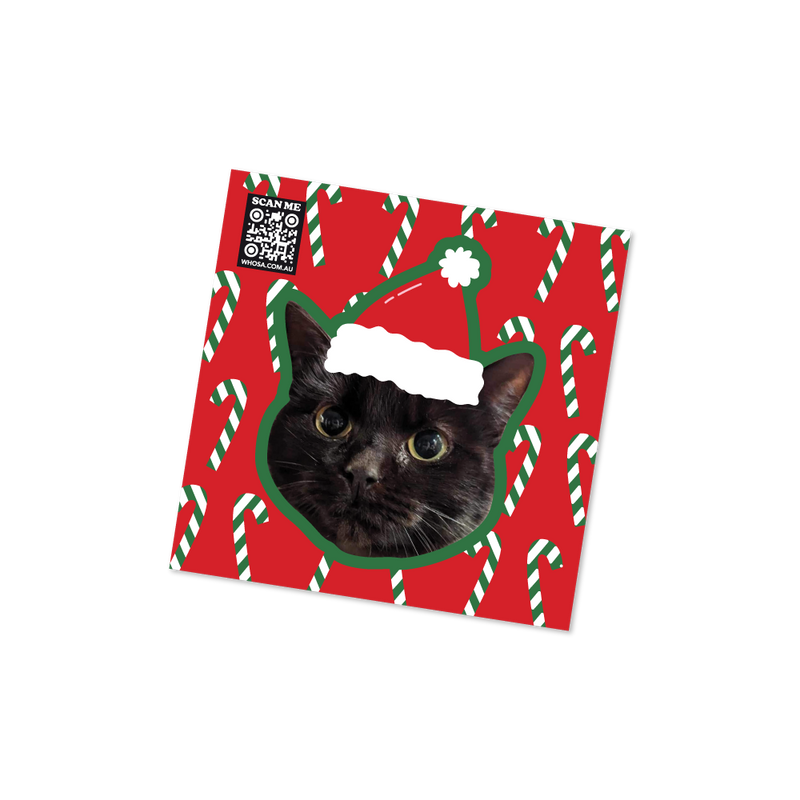 Red Candy Cane Custom Cat Sticker  - Christmas Collection